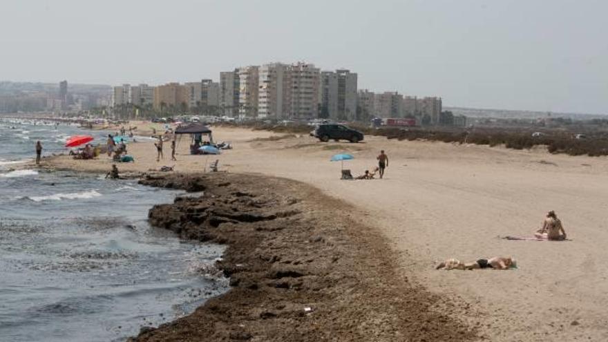 La playa del Saladar es muy frecuentada durante el verano y ahora se quiere adecuar.