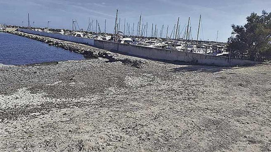 Imagen de la playa ubicada junto al club nÃ¡utico de Can Picafort.