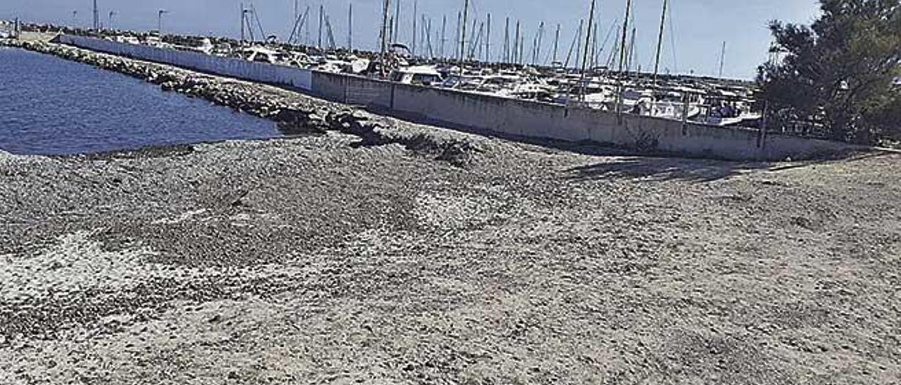 Imagen de la playa ubicada junto al club nÃ¡utico de Can Picafort.