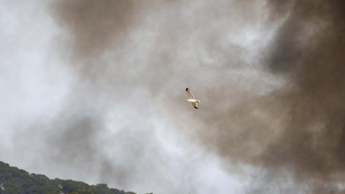 Nuevo incendio en el vertedero de Ibiza