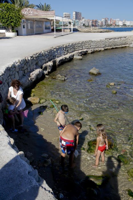 Alicante deja perder sus calas