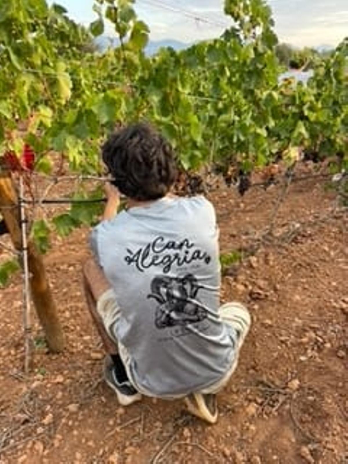 Can Alegria lleva al Tast su muestra de vinos directamente desde sus plácidas instalaciones.