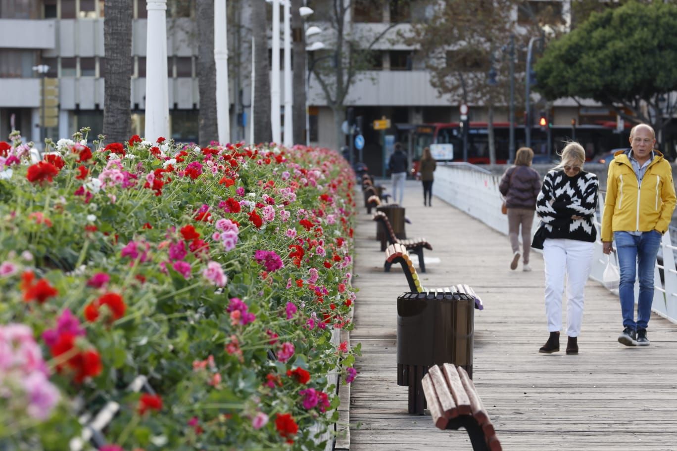 Comienzan a replantar el Puente de las Flores