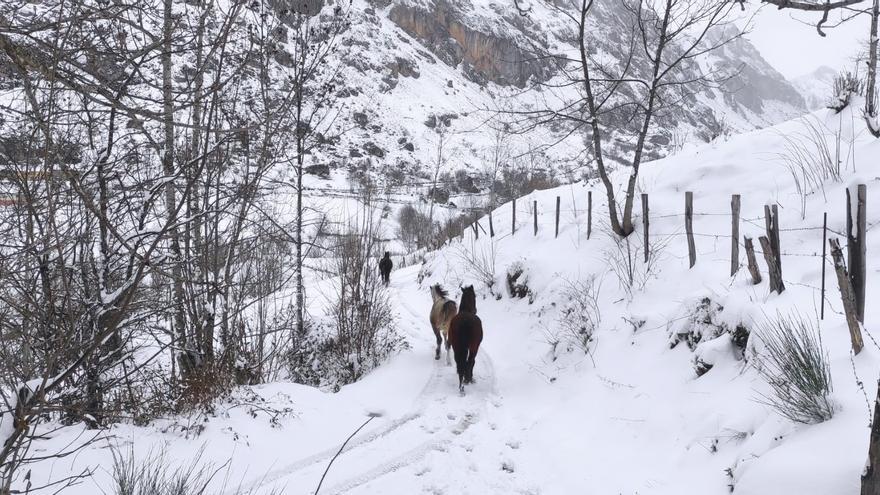 &quot;Louis&quot; da una tregua: se reducen a 7 los puertos para circular con cadenas en Asturias