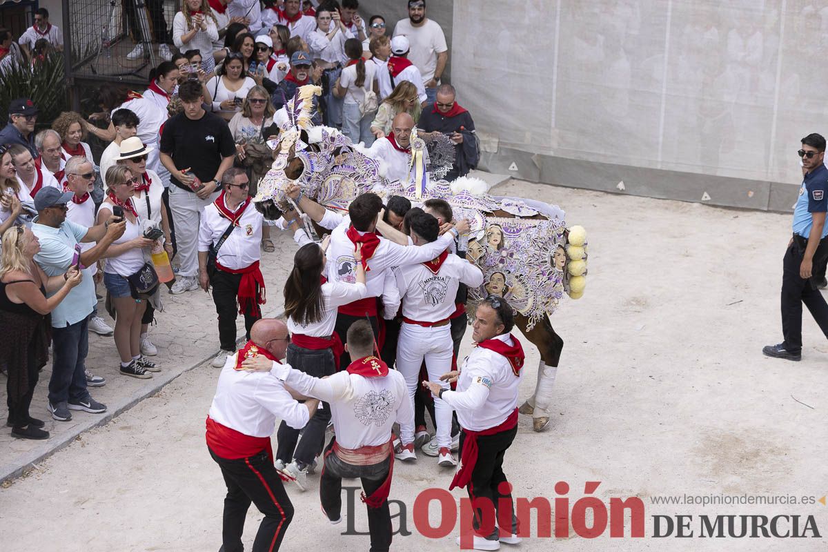 Así se ha vivido la carrera de Los Caballos del Vino en Caravaca