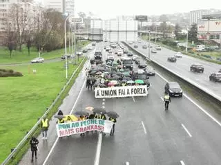 Las protestas contra la Agenda 2030 llegan este jueves a A Coruña: los ganaderos marchan por Alfonso Molina