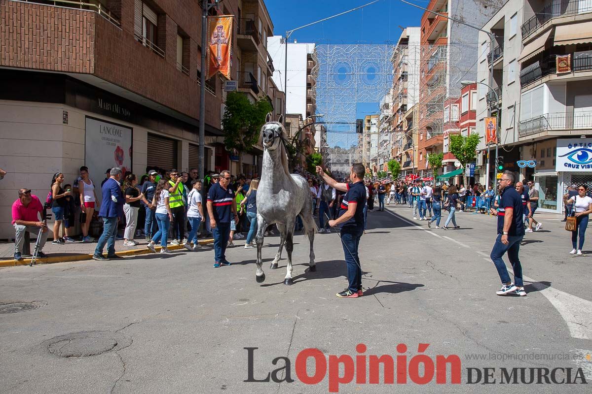 Pasacalles caballos del vino al hoyo