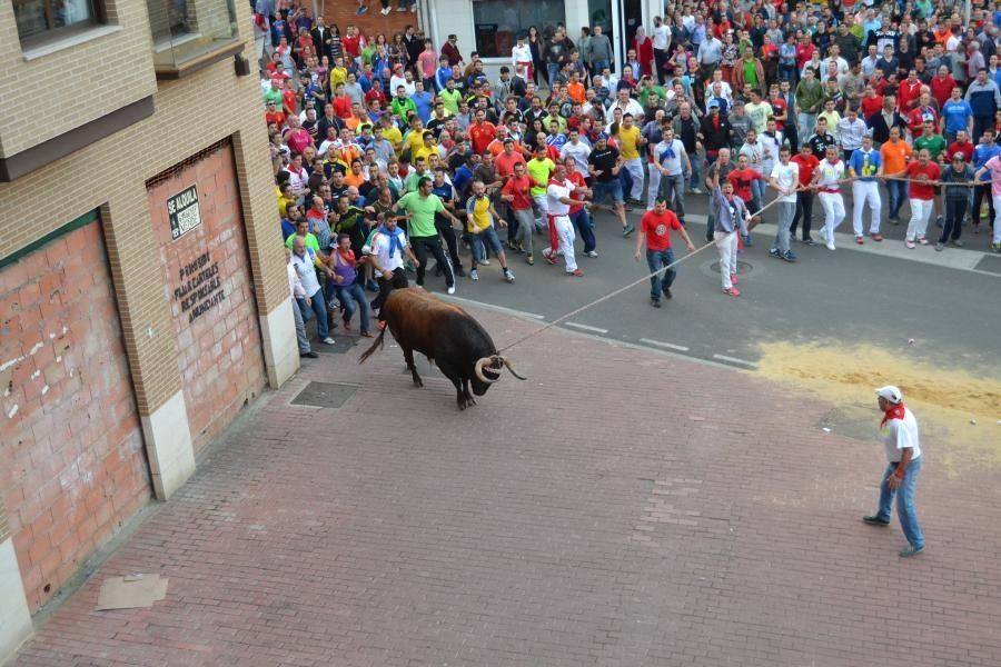 Enmaromado 2016: Así fue el Día Grande en Benavent