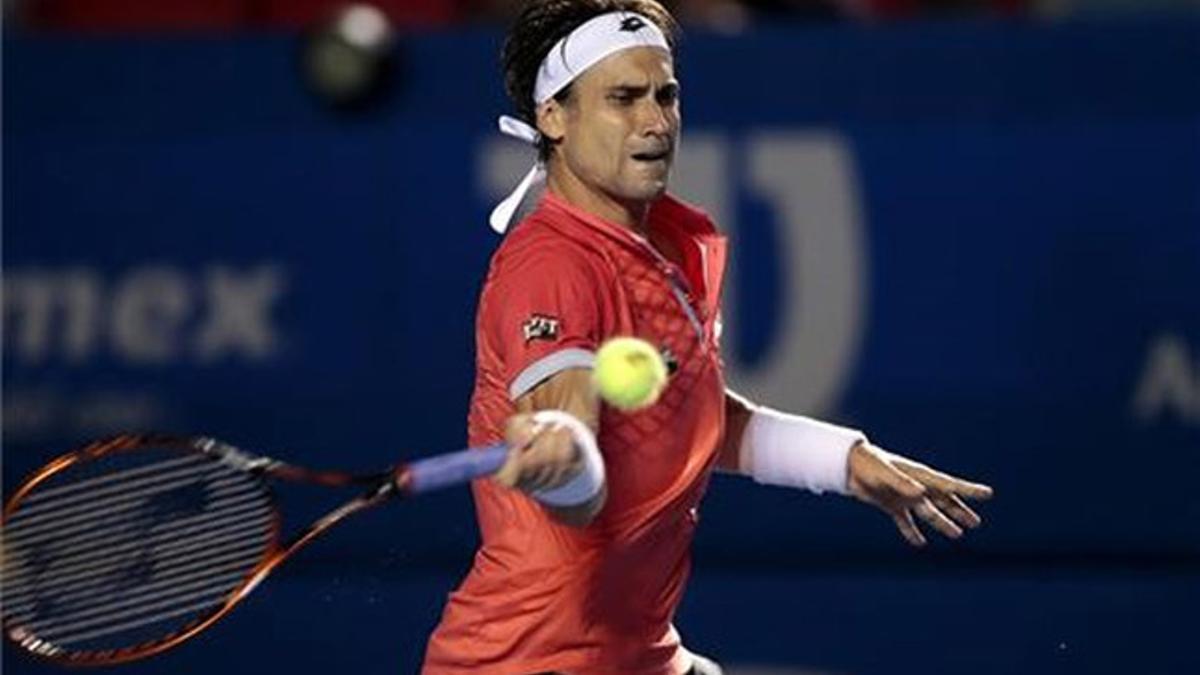 David Ferrer se impuso a Harrison