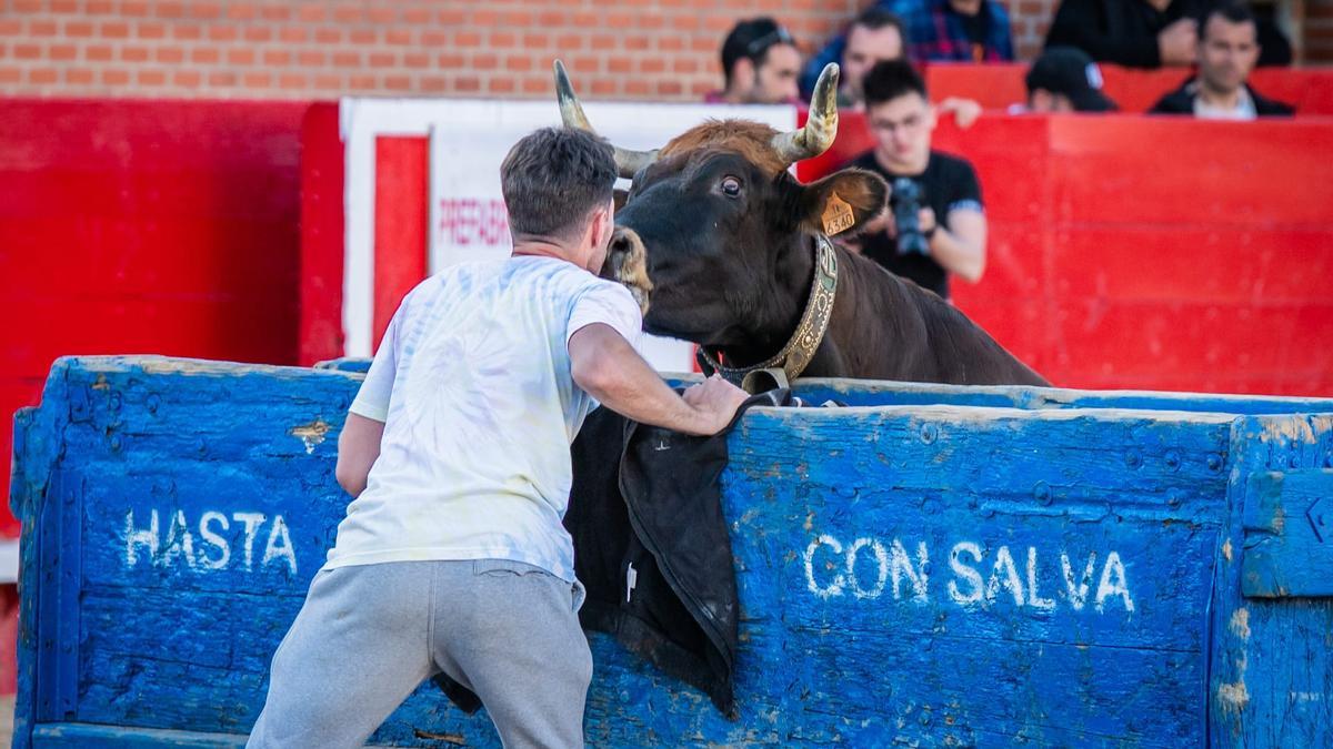 José Manuel González ‘Poca’ da un beso a una vaca de Juan José Laparte.