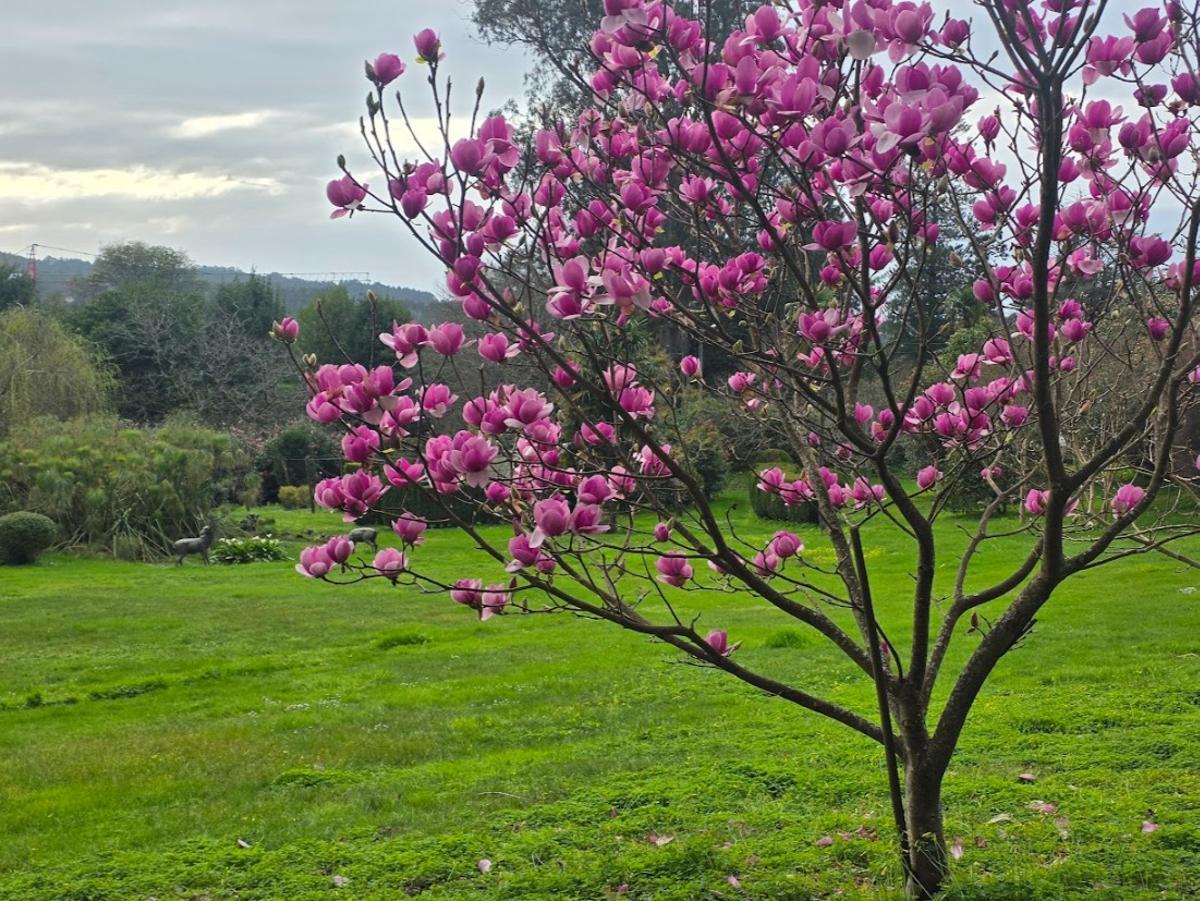 Pazo Rubiáns, en Vilagarcía, sede de la bodega Pazo de Rubianes, desde octubre propiedad de Bodegas Arzuaga.