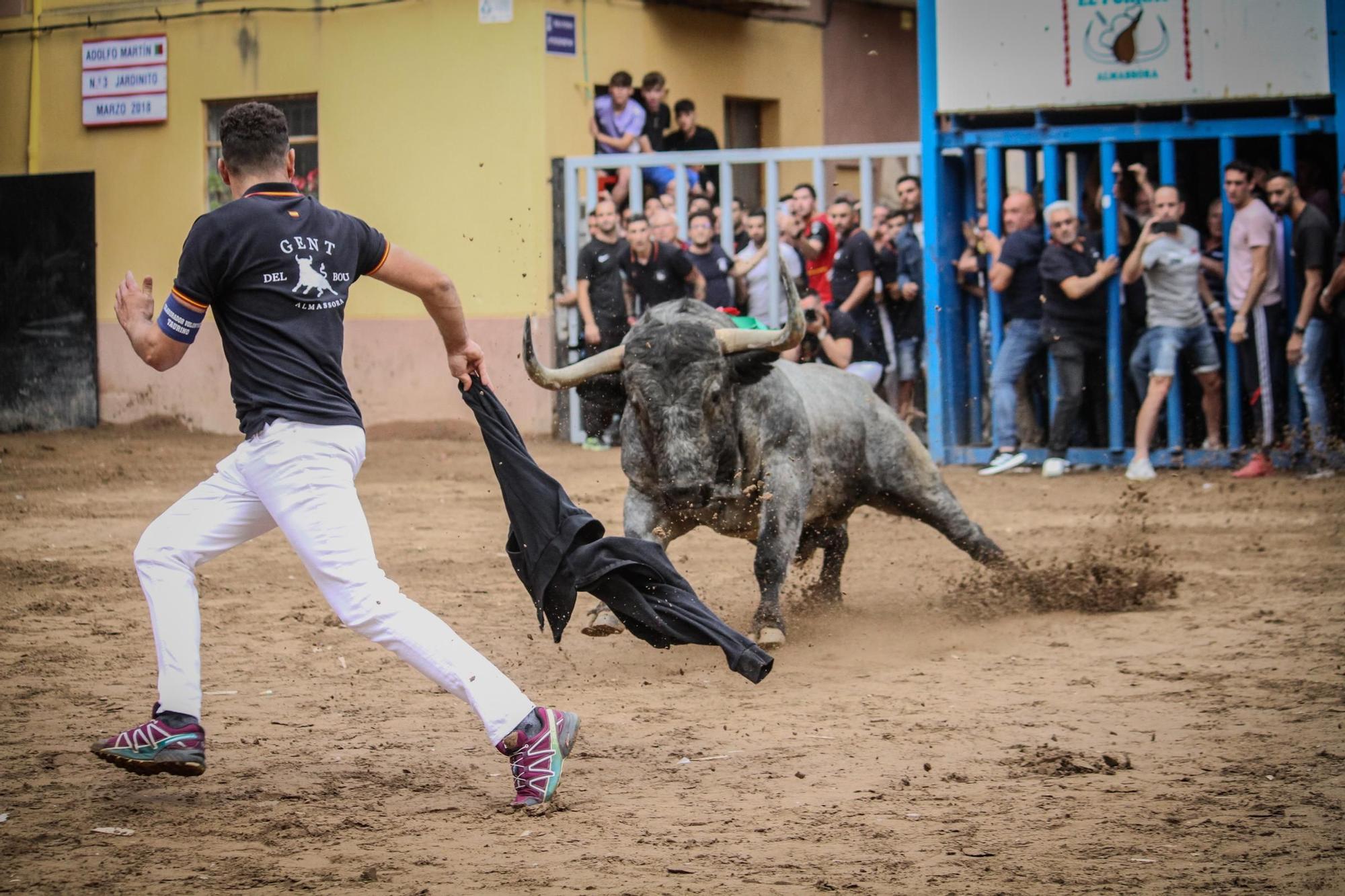 Las mejores fotos del impresionante Adolfo Martín en las fiestas de Almassora