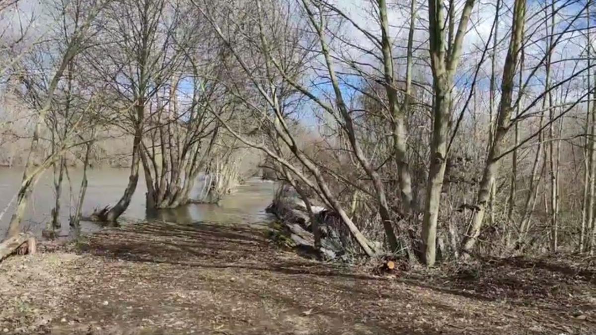 Despejado de maleza el acceso a la Presa Miguelón en la Ruta de Santibáñez de Tera. / E. P.