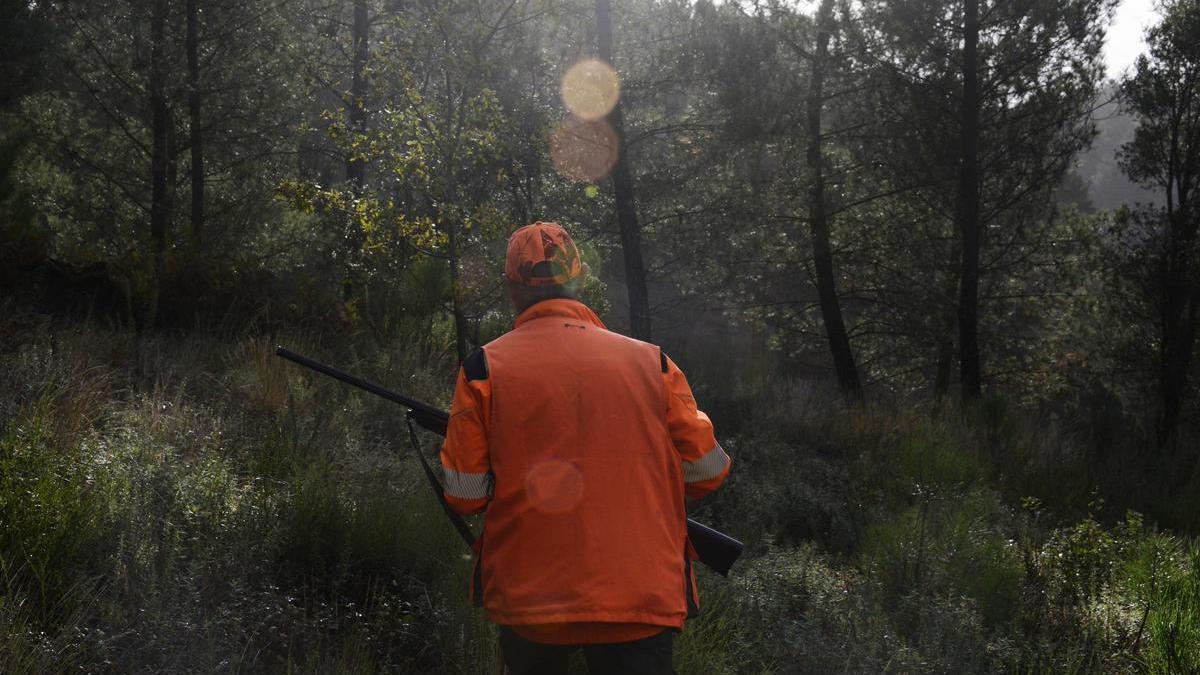 Un hombre caza en los montes de Cameixa, en Boborás (Ourense)