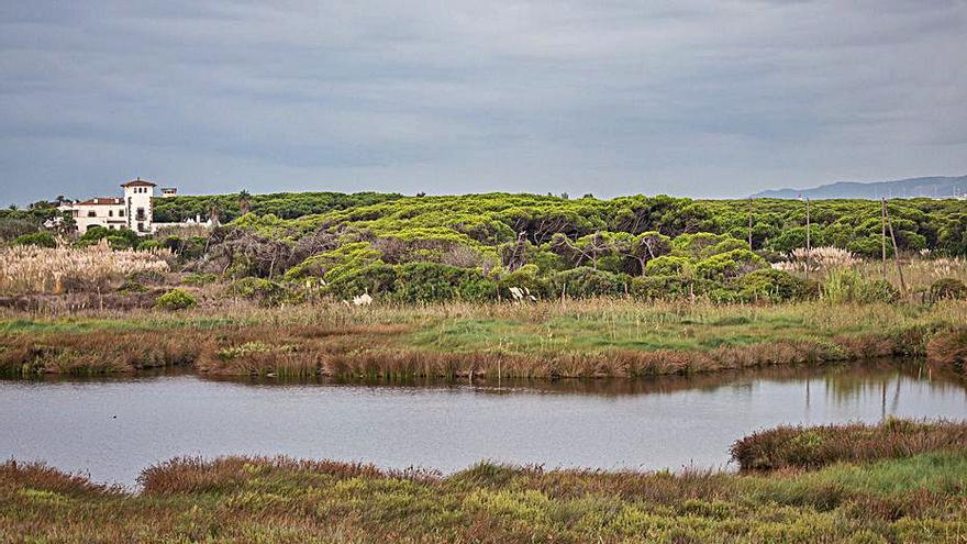 Vista de l’àrea natural de la Ricarda.   | MANU MITRU