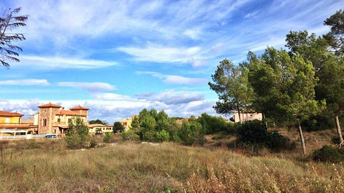 Imagen del solar donde se construirá el reivindicado colegio público de Can Picafort.