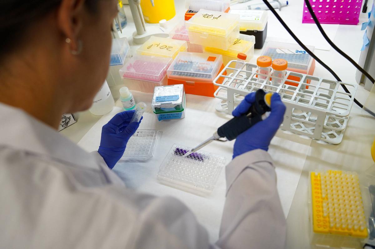 Profesional desarrollando labores de investigación en los laboratorios del Instituto de Biomedicina de Sevilla (IBiS)