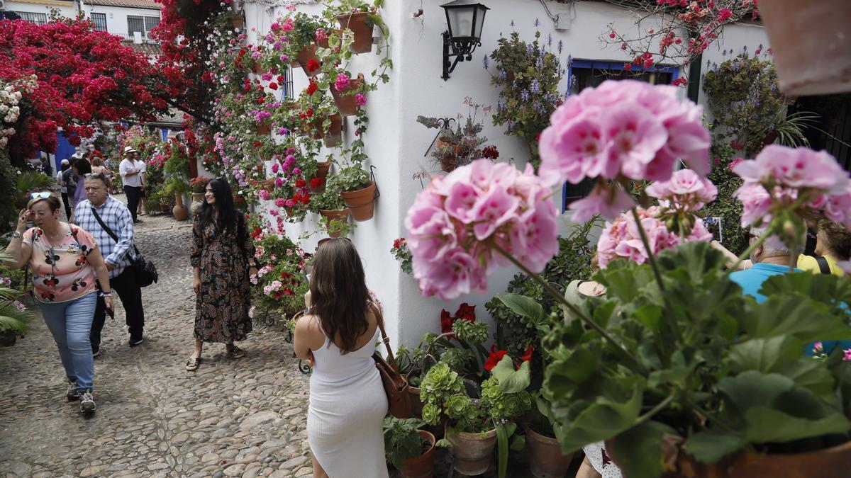 El concurso de patios 2023 se desarrollará del 2 al 14 de mayo.