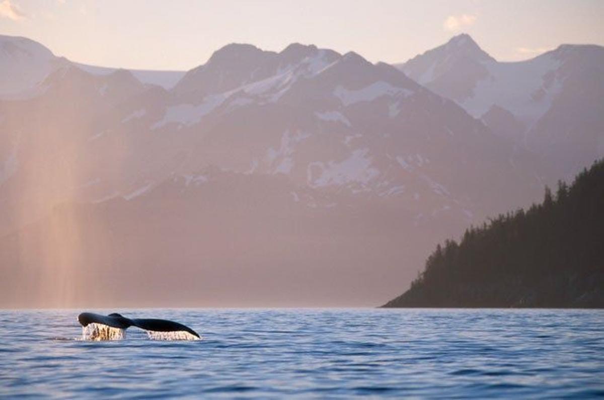 El parque nacional de los fiordos de Kenai, Alaska