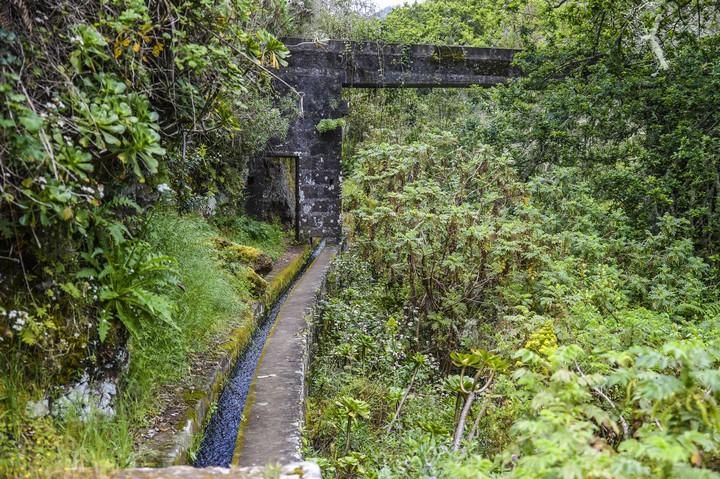 NACIENTES DE AGUA EN EL BARRANCO DE LA VIRGEN