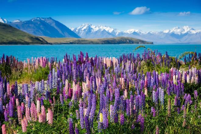 Lugares mejor entran por los ojos Lago Tekapo