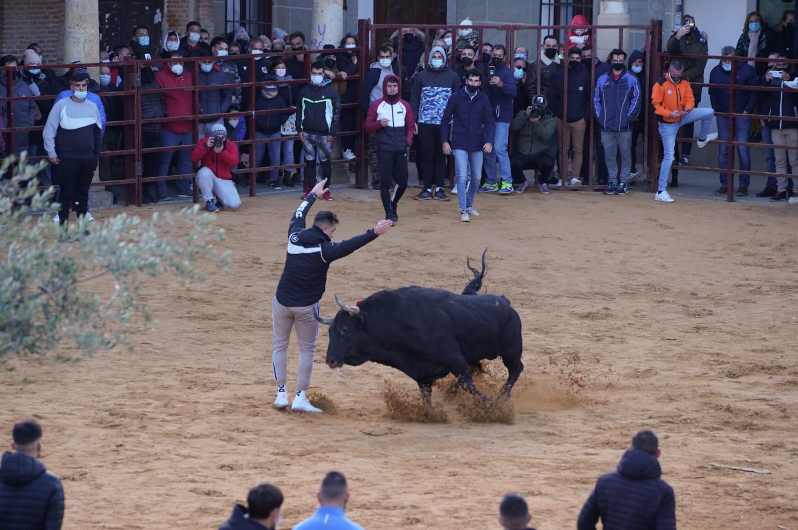 GALERÍA | Vuelve el Toro de la Purísima a Villalpando: así se ha celebrado el festejo taurino
