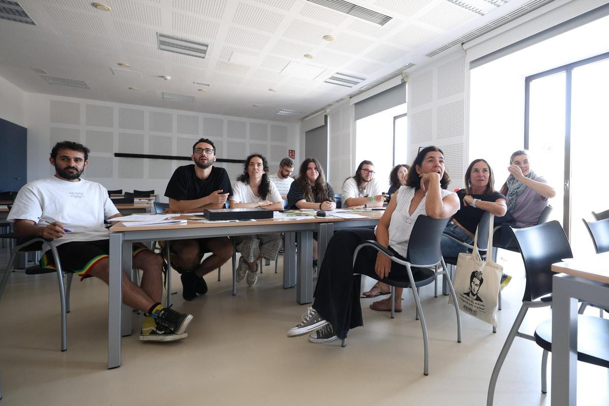 Un taller para identificar las abejas silvestres de Baleares