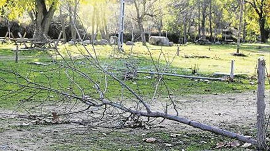 20 árboles de la pradera de San Isidro de Monesterio son destrozados