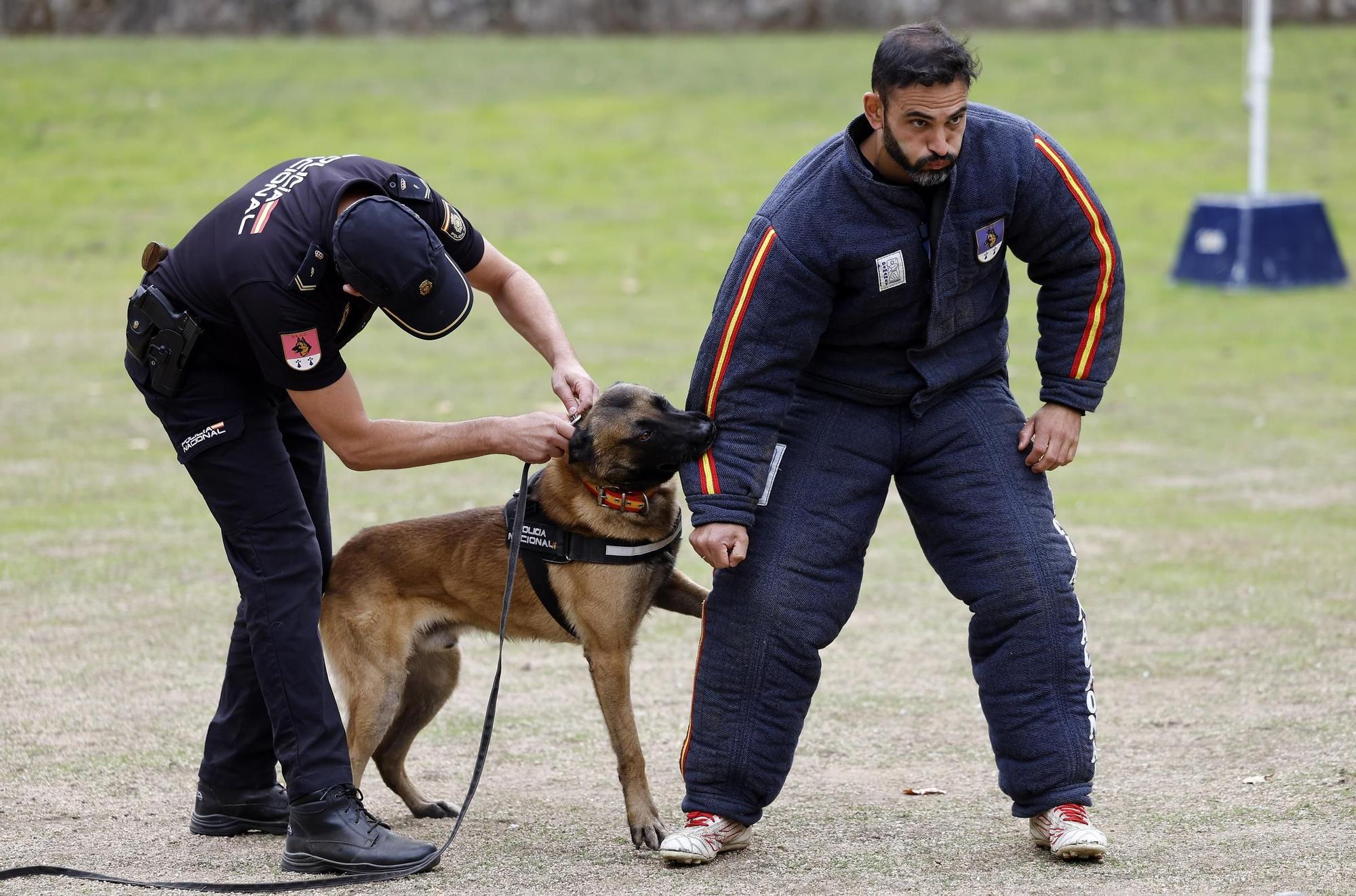 Exhibición de la Policía Nacional en el auditorio de Castrelos en Vigo