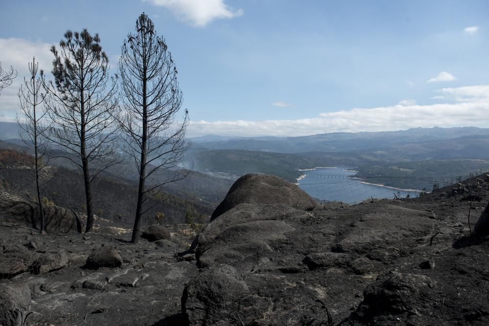 Entrimo, el incendio más voraz del año en Galicia