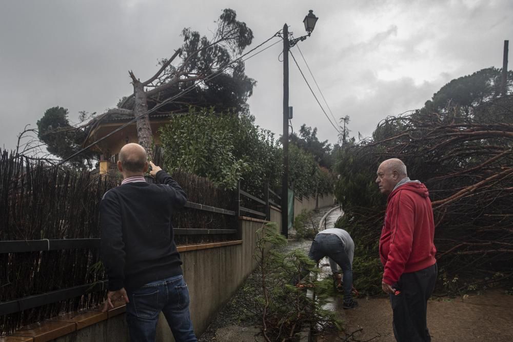 Destrosses a Riells i Viabrea per un tornado