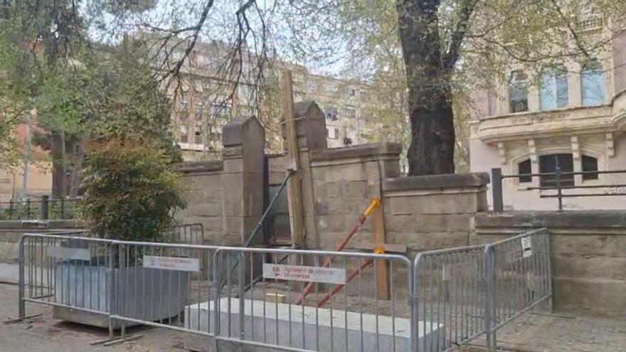 Arbre contra mur a Manresa