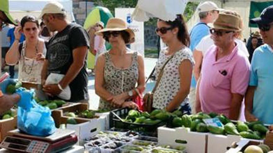 Al rico aguacate en Mogán