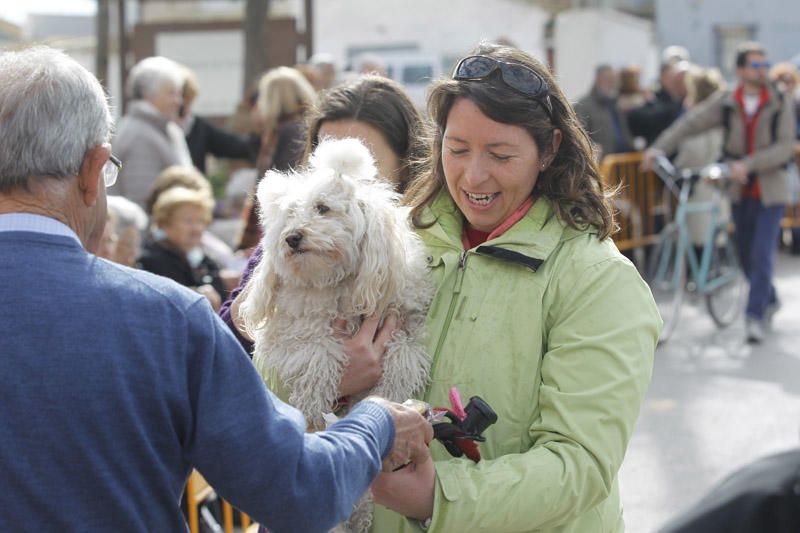 Benidición de animales en la Ermita de Vera y en la Punta