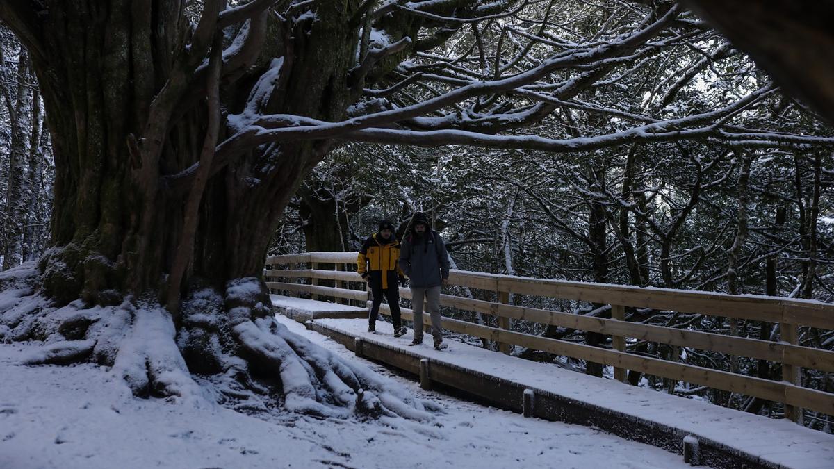 GALERÍA | La nieve deja un paisaje de ensueño en Sanabria