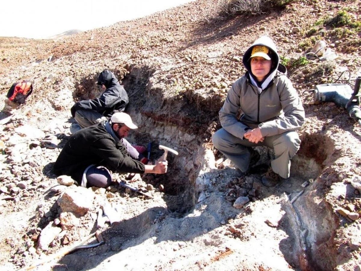 Labores de excavación paleobotánica en el yacimiento La Flecha, en la Patagonia argentina.