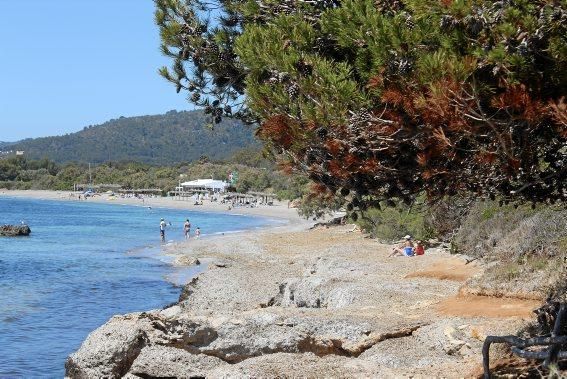 Porto Cristo? Cala Millor? Manacor? Sind das wirklich die schönsten Ecken der Insel? Für einen weit gereisten Autor ist die Sache klar: Nirgends ist Mallorca so abwechslungsreich