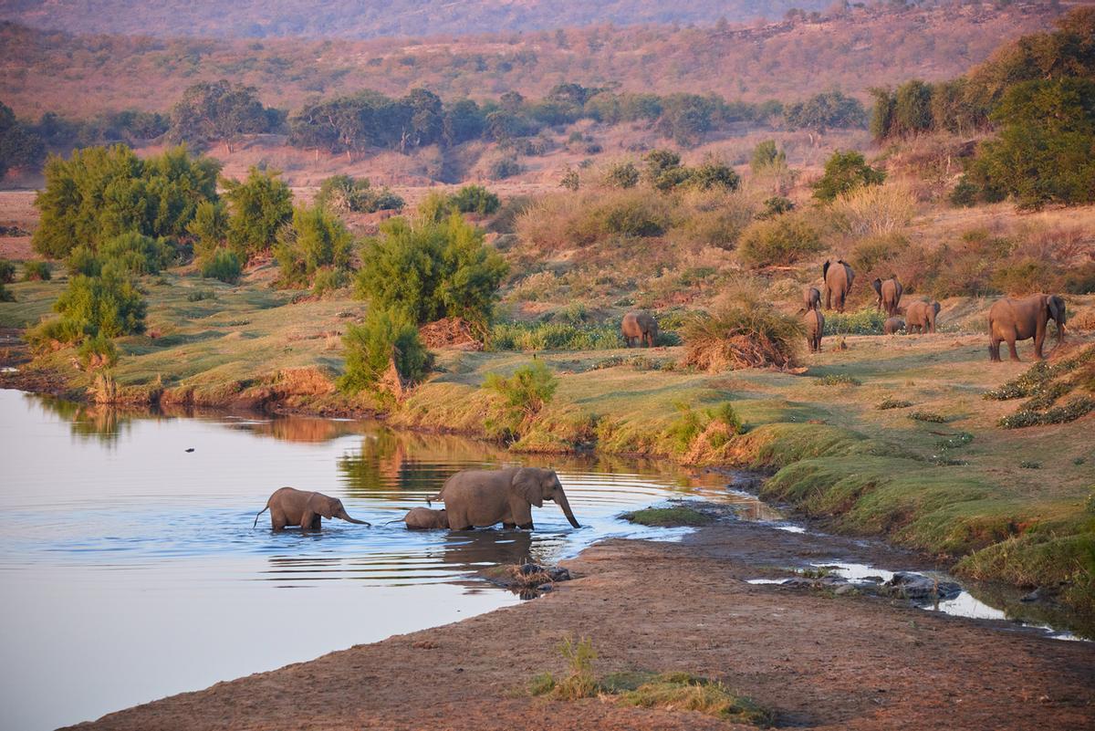 Elefantes en el Parque Nacional Kruger