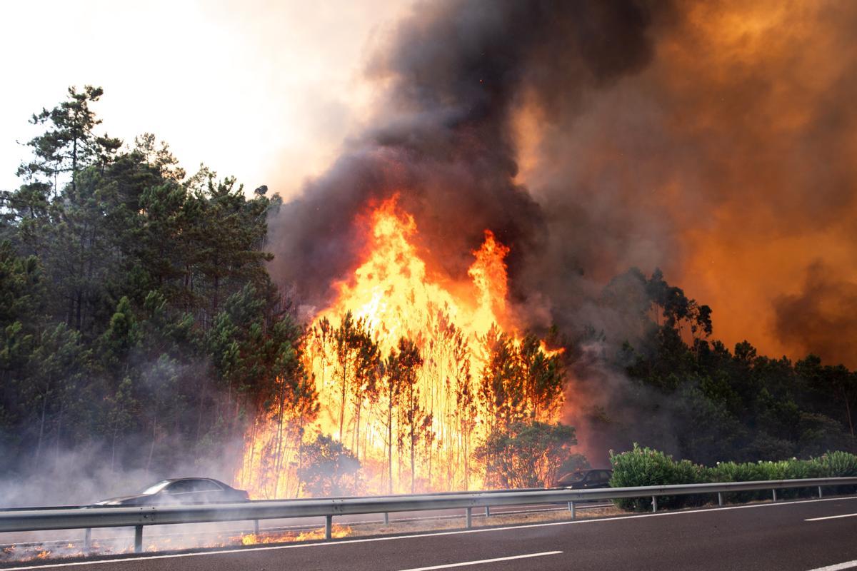 Evacuadas unas 1.400 personas por un incendio forestal en Portugal