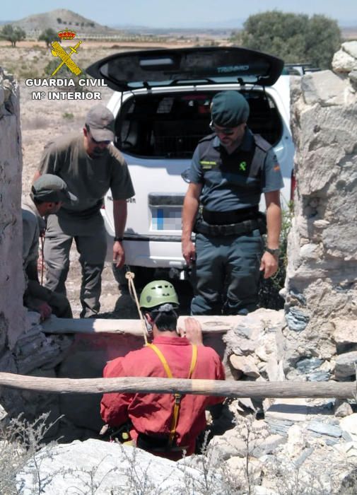 Rescatan el perro de un cazador que había caído en un pozo de 30 metros de profundidad en La Aljorra