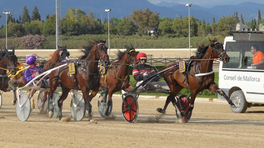 Gran Premi de Manacor: El doblete pasa por el Municipal