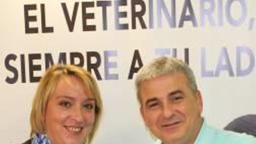 El colegio de Veterinarios dona 17 lectores de chips de animales a l&#039;Horta Sud