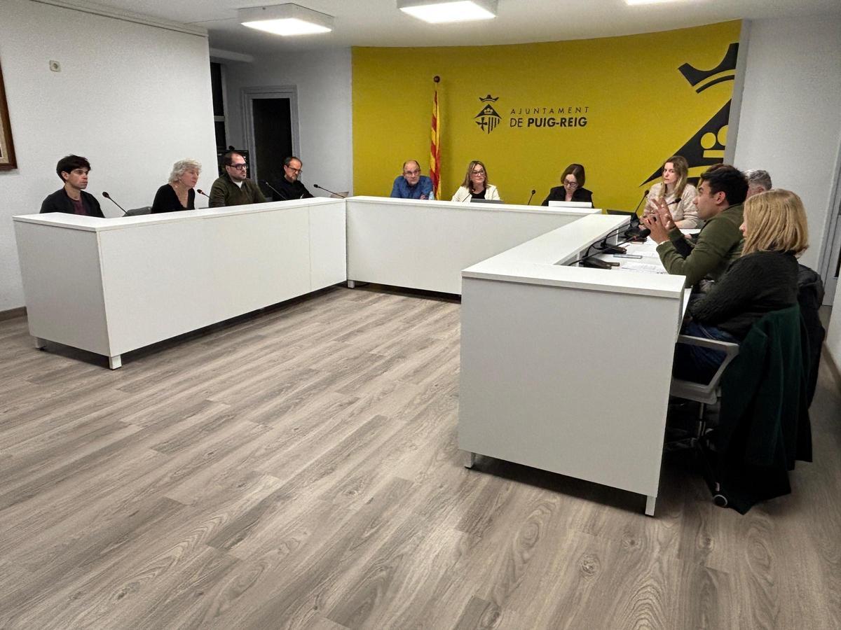 Un instant de la sessió plenària del febrer