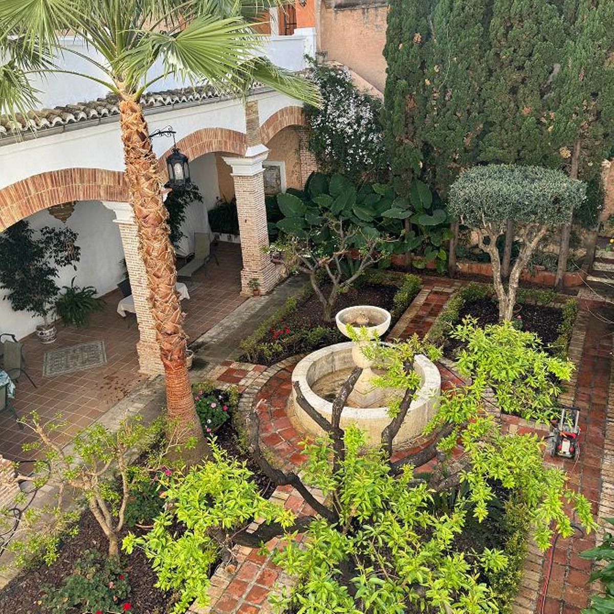 El jardín de la casa de la calle Canónigo Cebrián.