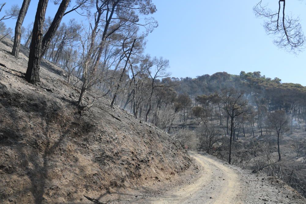 Tasques d'extinció de l'incendi de Capellades