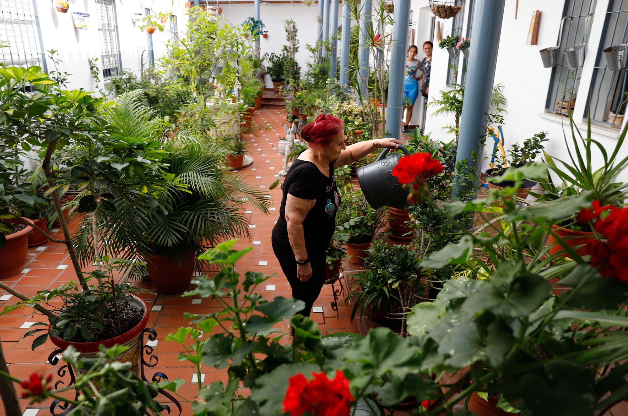 Concurso de balcones del barrio de la Trinidad