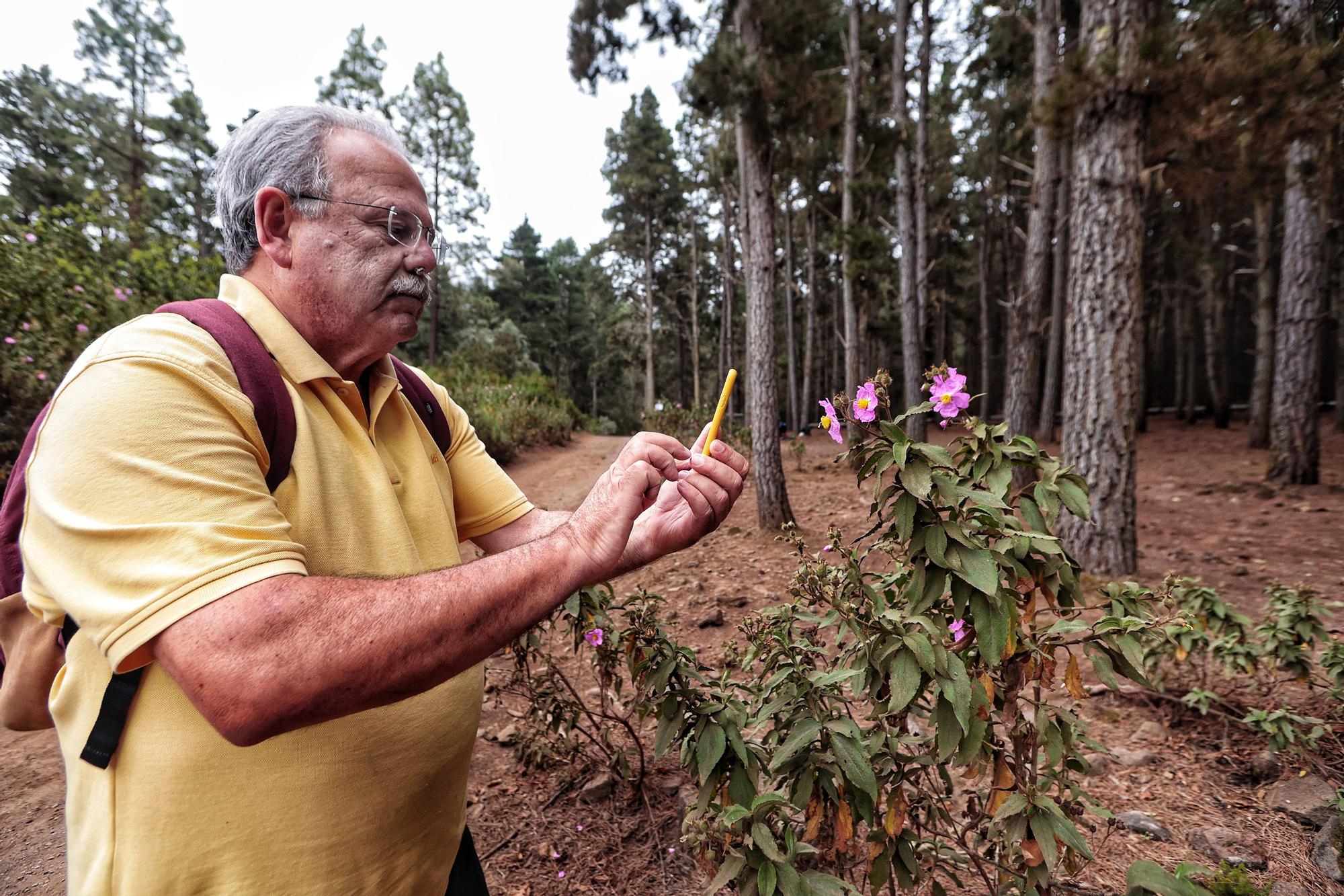 Tercera edición del Biomaratón de Flora Española, en el Parque Recreativo La Caldera, La Orotava