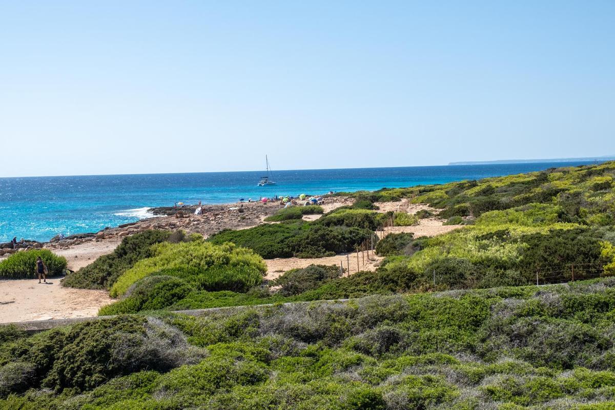 Ses Salines se prepara para el eclipse del siglo en Mallorca Ses Salines se prepara para el eclipse del siglo en Mallorca