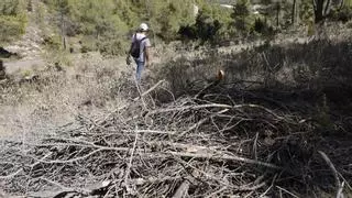 "Hace 30 años que no veíamos el monte tan seco"