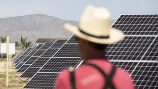 Las fincas para plantas solares ya se cotizan a 2.000 euros por hectárea al año en la Vega Baja